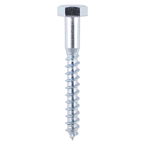 Coach Screws Hex Head Silver 5055331828996 Main Image