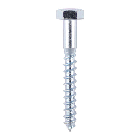 Coach Screws Hex Head Silver 5055331802743 Main Image