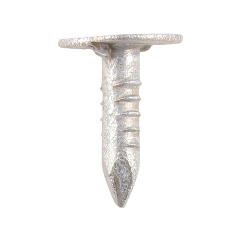 Extra Large Head Clout Nails - Galvanised Main Image